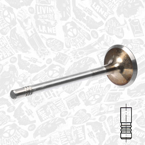 VI0126, Innløpsventil, Ventil sací IN (1) 3,0TDI, ET ENGINETEAM, Audi A4/A6 2,7/3,0TDI 2004+, 059109601G, 029VE31372000, 331133, R6514/S, V98010