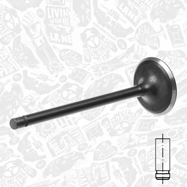 VI0130, Innløpsventil, Ventil sací IN (1) 1,8i 16V, ET ENGINETEAM, Nissan Almera/Primera 1,8i QG18DE 1999-2006, 13201-AU300, 701034, R6593/SNT