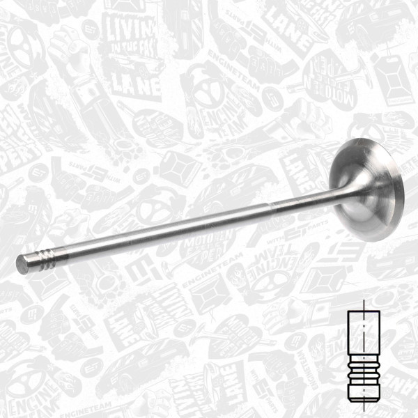 VI0135, Innløpsventil, Ventil sací IN (1) 3,2i V6, ET ENGINETEAM, Audi A3, VW Golf/Passat/Transporter 3,2i 2002+, 022109601H, 331128, R6702/SARCR