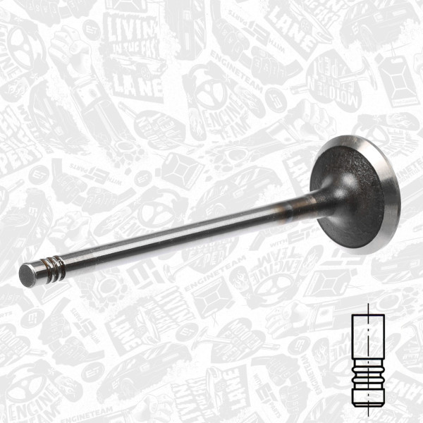 VI0147, Innløpsventil, Ventil sací IN (1) 2,0 HDI, ET ENGINETEAM, 9635317980, 0948.C0, 031VE31054000, R6161/SCR, V94438, V94486