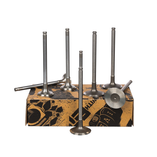 Ventilsett, innsugs-/utløpsventil - VS0002VR2 ET ENGINETEAM - 0949.59, 97531044, 0948.58