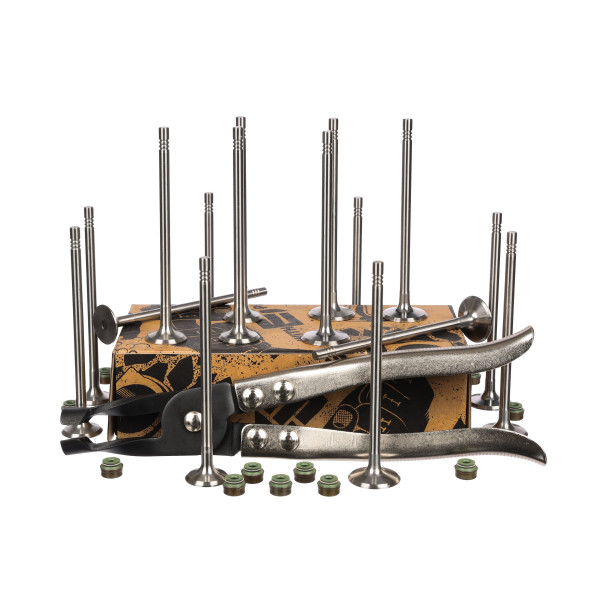 Ventilsett, innsugs-/utløpsventil - VS0006VR1 ET ENGINETEAM - 7701473004, 13202-00QAH, 13201-00QAG