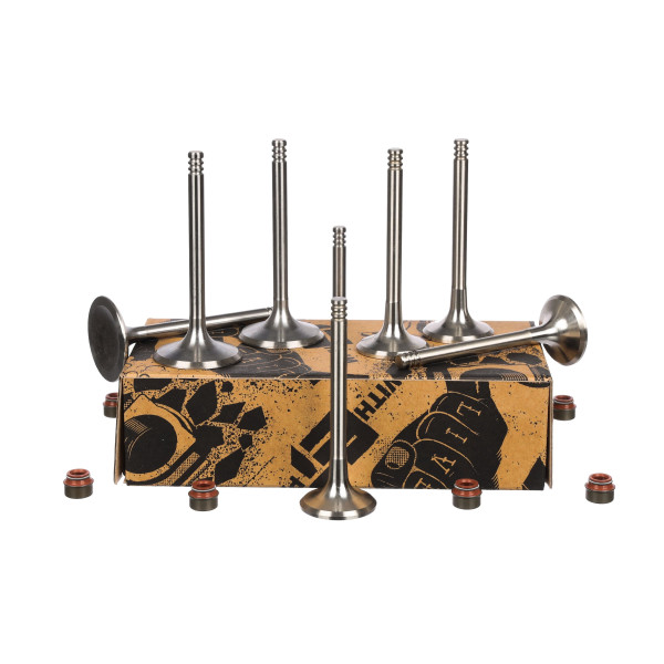 Ventilsett, innsugs-/utløpsventil - VS0009 ET ENGINETEAM - 078109611C, 048109611B, 078109601B