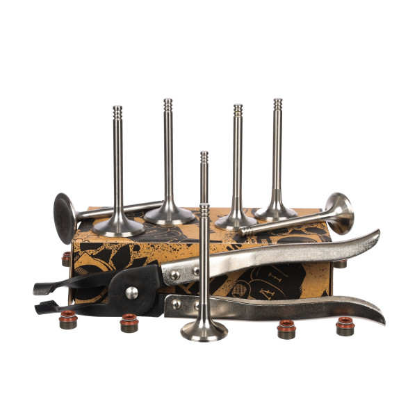 Ventilsett, innsugs-/utløpsventil - VS0009VR1 ET ENGINETEAM - 078109611C, 048109611B, 078109601B