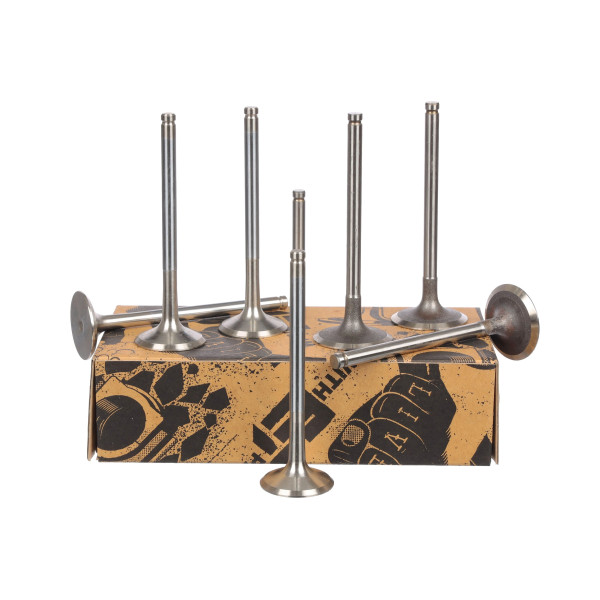 Ventilsett, innsugs-/utløpsventil - VS0023 ET ENGINETEAM - 7701465090, 7701468149, 7700865832