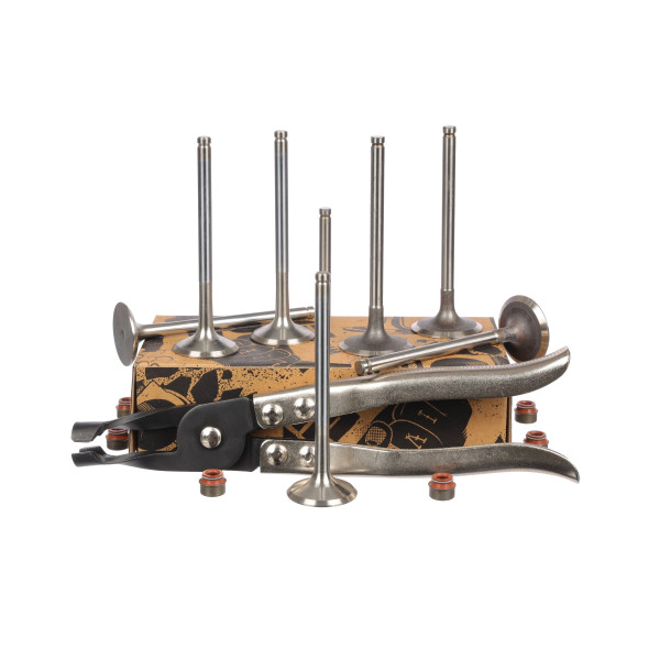 Ventilsett, innsugs-/utløpsventil - VS0023VR2 ET ENGINETEAM - 7701465090, 7701468149, 7700865832