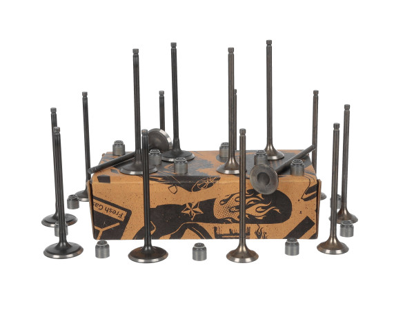 Ventilsett, innsugs-/utløpsventil - VS0038 ET ENGINETEAM - 132029606R, 132028257R, 132019075R