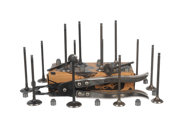 Ventilsett, innsugs-/utløpsventil - VS0038VR1 ET ENGINETEAM - 132029606R, 132028257R, 132019075R