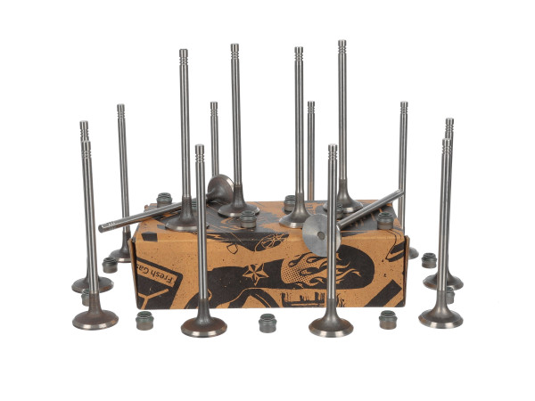 Ventilsett, innsugs-/utløpsventil - VS0039 ET ENGINETEAM - 13201-00QAD, 4506083, 7701472669