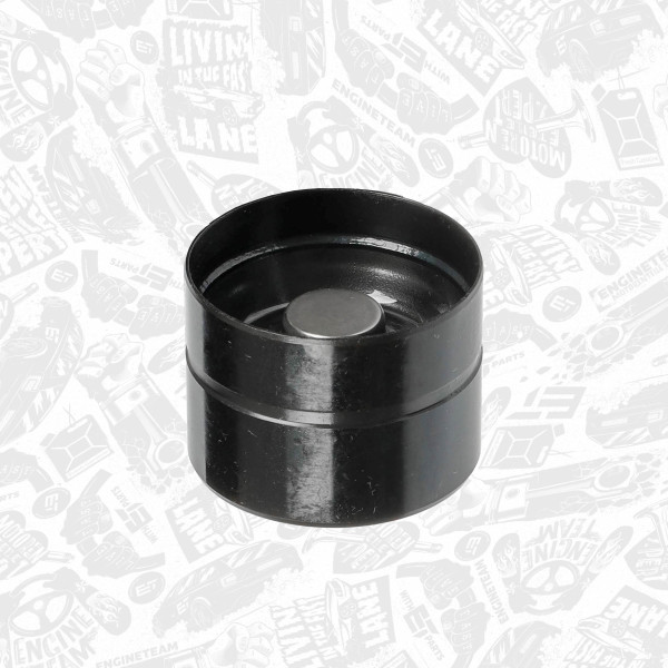 ZH0089VR1, Ventilløfter, Zdvihátko vent.1.9TDi PD /DLC, ET ENGINETEAM, Skoda VW Audi Seat A2 A3 Alhambra Cordoba Ibiza Fabia Roomster Superb Caddy Passat 1,9 TDI PD 2000+, 038109309C, 1426035, XM21-6500-BA, 1100677, 038109309A, XM21650BA, 038109309B, 19800, 50006418, FOL114, FOL175