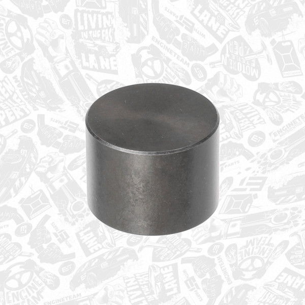 ZM0078, Ventilløfter, Zdvihátko vent.1,9D/TD, ET ENGINETEAM, 094241, 9633089580, 094216, 9350175880, FOL150