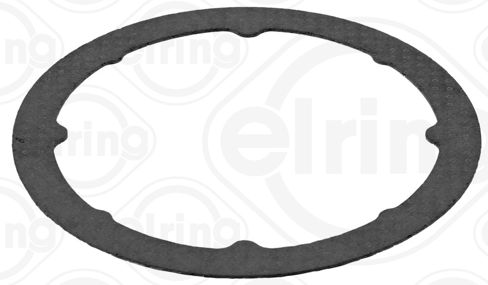 Pakning, eksosrør - 165.790 ELRING - 68437471AA, 01954200