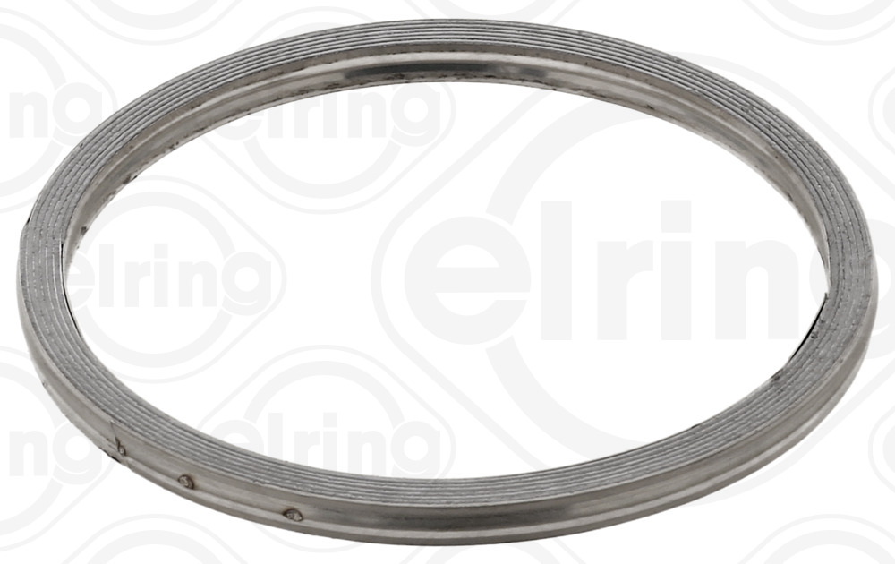 Tetning, lader - 814.660 ELRING - 55512949