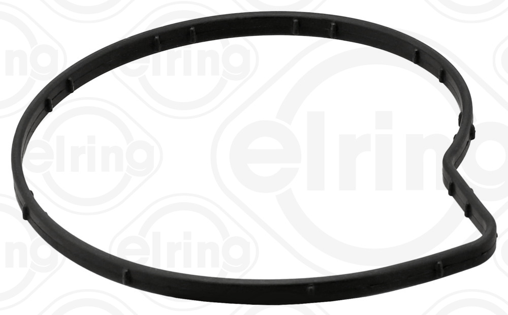 B00.550, Pakning, vannpumpe, Těsnění vodní pumpy, ELRING