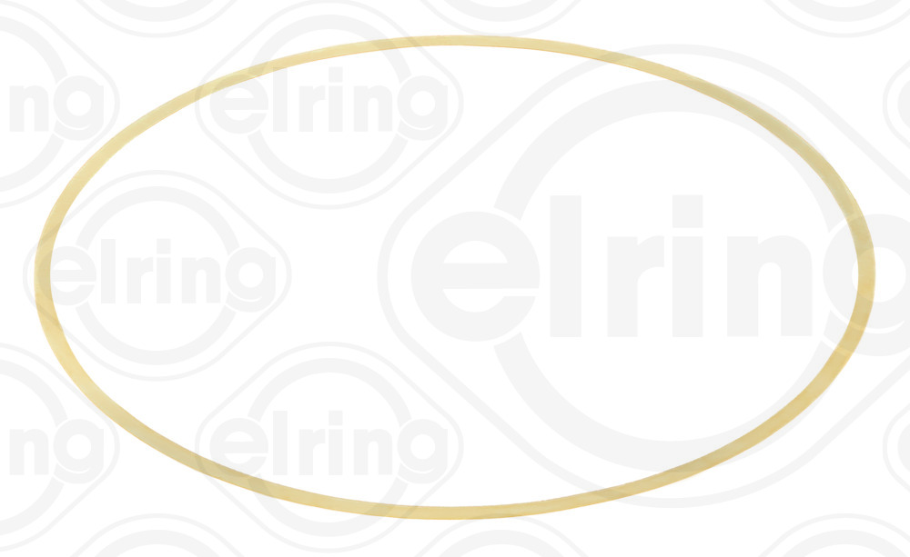 B28.960, Tetning, sylinderhylse, O-kroužek sada, ELRING, 504372483, 500061, 500110