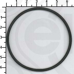 181.580, Pakninger, innsug, Těsnění sac.potr., ELRING, 13547792098, 16033200, 8813997