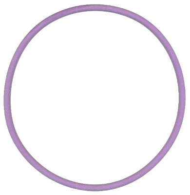 813.583, Tetningsring, O-kroužek 142,6x5,8, ELRING, 21430623, 7400424833, 424833, 424833-2, 520398