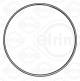Tetningsring, lader - 298.981 ELRING - 11628473270, 01726100