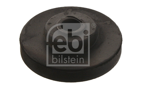 FE04531, Lagring, radiator, Ostatní, FEBI BILSTEIN, 81.96210.0248, 020.082, 030.121-00A, 1178001, 3.16304, 4531, 51437, 7447, 81-07102-SX, HD9031, IMX81962100248, STR-120269, WG2312200