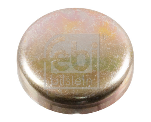 FE07294, Frostplugg, Zátka mrazová pr.36, FEBI BILSTEIN, 07119937320, 07119937321, 11111276472, 11111717939, 71199937320, 203185, 20907294, 7294, 84029, 8712011, 8EPL1012