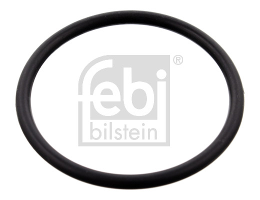 FE100077, Pakning, termostatkasse, Těsnění, FEBI BILSTEIN, A0299972148, 0299972148, 10100077, 114433, 16061300, 1.890.648, 313811, 4.20130, 590648, 7.9648, BACB11-U17008, C4248100, EPS-1890648, FT49920, I03016255, WG1451803, WG2313398