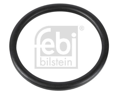 FE10255, Pakning, termostat, Těsnění, FEBI BILSTEIN, 7700718380, 00538300, 02362, 105434, 15/3293G, 1747, 1.890.556, 35867, 394.090, 521365, 590556, 60160001, 6155531, 7.9556, 95.2047, AF14250, EPS-1890556, F2362, P952047, T402362, V46-99-9001, WG1158267, WG1192503