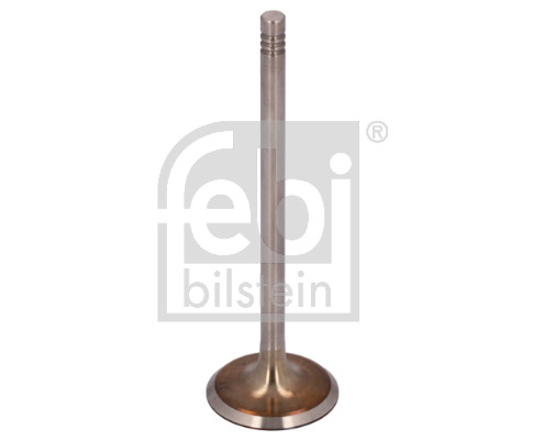 FE12823, Innløpsventil, Ventil sací IN (1), FEBI BILSTEIN, 11341738218, 1739820, 11341739820, 11341739822, 01-23012-SX, 081VE30502000, 1035, 11960, 20601-12609, 20912823, 210299, 2956.002, 500711, 551035B, 806701001, 822860, AIV1960, BF0425670007, IMXBMW11341739822, IV1960, PV1470, R4864/S, V011960, V91925, VL110300, WG1015536, Z71488, 3282.002, 806701601, WG1052961