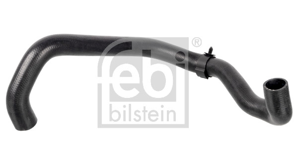 FE174416, Radiatorslange, Ostatní, FEBI BILSTEIN, 3C0122051AT, 3C0122051BK, 05-2284, 10034859, 10-35666-SX, 174298A, 18-0924, 220799, 2421615, 27884, 33102189, 36330, 51522, 777810, AD08001, ALP-007296, AS-509981, BF0426660220, DMH5437, DWW354TT, GOM719981, GOM-RH2885, MT5437, P777810, R25842, RH-2624, T175326, T436330, V10-8878, VWRDH-029