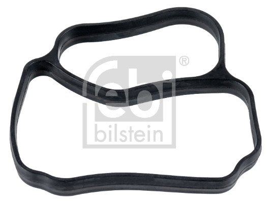 FE176385, Pakning, termostatkasse, Těsnění, FEBI BILSTEIN, 20479636, 7420479636, 01294900, 03.19.212, 034.044, 210046, 2.15921, 29324VO, 30988, 316003, 395.520, 6GAS1087, 80228, 81-65161-SX, 961547, AR03899, EAP00335, WG1192522, Z17505, 220053, 30989, WG2077912, WG2310335