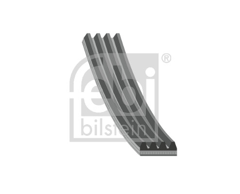 Multi-V reim - FE178936 FEBI BILSTEIN - 117205590R, 33104743