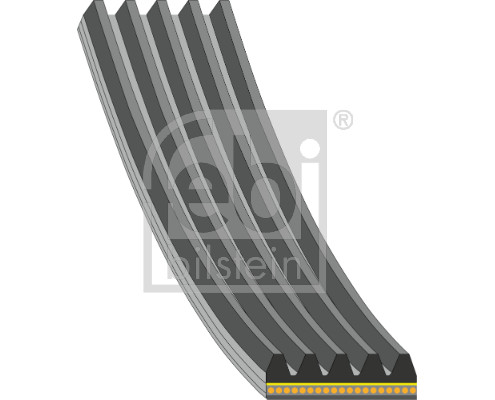 FE181286, Multi-V reim, řemen klínový, FEBI BILSTEIN, 55247438, 1165K5, 1606347780, 33108173, 341200005300, 5KSY1166EX, 5PK1165, 5PK1165XS, 5PK1166EXTRA, 5PK1166K, 8640501165XS, 995PK1165, FB5XPK1166, QBR51163, VKMV5PK1166, WG2377396, 5PK1173, WG2377553