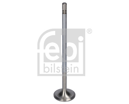 FE181641, Innløpsventil, Ventil sací IN (1), FEBI BILSTEIN, 20561995, 7420712128, 20740798, 7420740798, 02.03.05.254862, 030520D13000, 037.221, 210035, 2.10575, 211-4307, 2667, 31301, 3739.239, 40798IV, 48315, 50011900008, 50017963, 81-24633-SX, 827260, 98714, IMX00420561995, R6587/BMCR, V95160, VA0711398, VL187400, WG1015802, Z71516, 037VE31408000, 50011900009, WG1053158