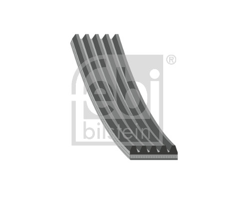 Multi-V reim - FE183146 FEBI BILSTEIN - 55221257, 1987946174, 293305