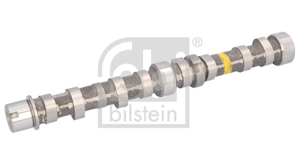 FE183801, Kamaksel, Vačka, FEBI BILSTEIN, 0055206898, 055206898, 0801.GK, 12715-68L10, 1724837, 55206898, 801.GK, 1000645N, 10-10066-SX, 22990, 33114199, 50007799, 71-1146, 80SKV020, AC1808, AZMT-30-053-2052, BS51-6250-BA, C254, CAM711, CM05-2110, CMS005FAIN, CS3920, EC237, ENT081011, HV0371, ID30507, NW5017, S807I03A, T1808, WG1011620