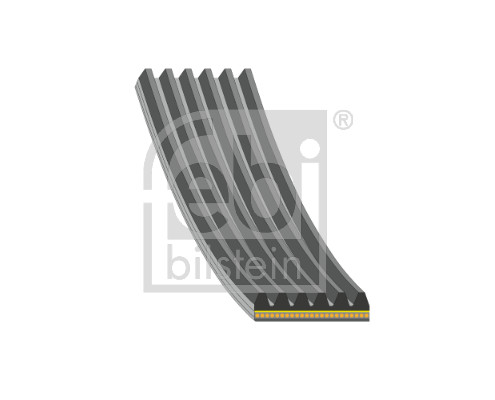 FE185005, Multi-V reim, řemen klínový, FEBI BILSTEIN, 9091602688, 90916-W2044, 90916-02688, 06-00923-SX, 060.3588, 1007145, 11.12079, 140-17006, 1606349780, 1987947938, 2329705, 293563, 33109750, 341200005439, 6KSY926EX, 6PK0923, 6PK0925L, 6PK0925V, 6PK923, 6PK925, 6PK925XS, 6PK926, 6PK926EXTRA, 6PV923, 8640600925XS, 923K6, 996PK923, AD06A926, AZMT-20-033-1466, BOL-6PK923