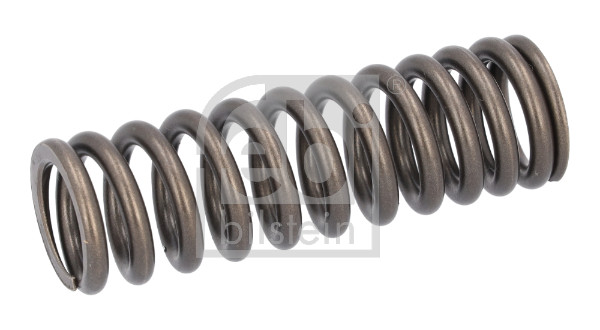 Ventilfjær - FE187738 FEBI BILSTEIN - A9360530420, A936053042064, 9360530420