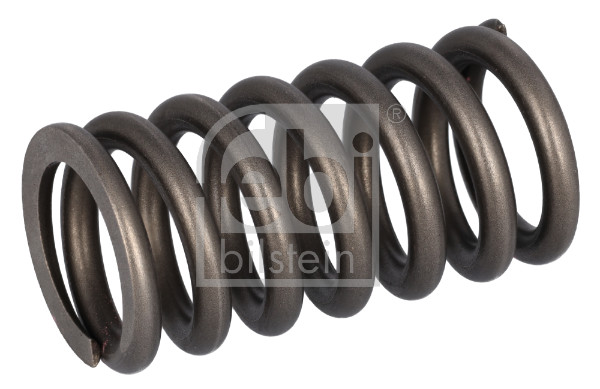 Ventilfjær - FE187756 FEBI BILSTEIN - 21326667, 22527820