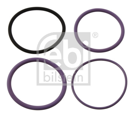 FE35200, Tetningssett, innsprøyt.dyse, Těsnění, FEBI BILSTEIN, 276644, 276845, 276935, 276948, 0103227, 030.692, 03.10.036, 1253290, 203869, 26743, 2.91226, 369.521, 4630559202, 5RKI1007, 66579581, 72143, 82-23203-SX, 961565, 98580701, EAP00020, ENT280017, F00VX99992, IMX004276948, WG1754384, WG2322382