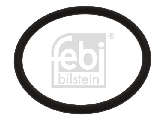 FE44674, Tetningsring, dyserom, Těsnění, FEBI BILSTEIN, A6069970045, 6069970045, 10944674, 40-76022-10, 915.785, WG1243543, WG2575510
