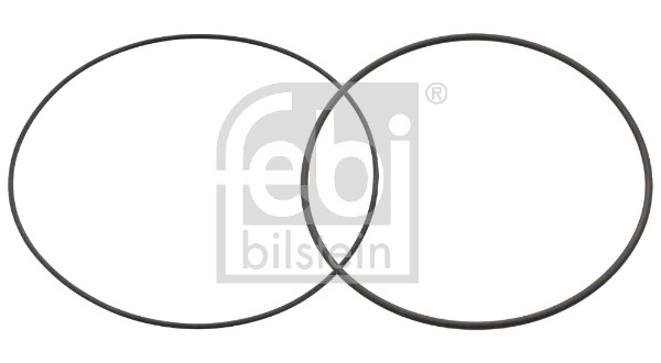FE49829, Tetningsringsett, sylinderhylse, Těsnění, FEBI BILSTEIN, 1328995, 1328995S1, 2071088, 2071088S1, 03535029, 047.123, 050111110004, 101650, 106690, 126.001, 1.27408, 130205, 15-77006-01, 16516400, 19351, 205139000100, AR02496, EAP00044, LP1373330, WG1098425, 03870060, 050111110005, 126.010, 1.27426, 16518100, 520407, AR03042, EAP00623, WG1190653, 061SK50016000