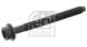 Topplokksbolt - FE05541 FEBI BILSTEIN - 1024355, 928M6065BC, 1663390