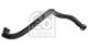 Slange, veivhuslufting - FE108772 FEBI BILSTEIN - 01192CN, 11157565449, 1192.CN