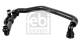 Radiatorslange - FE174415 FEBI BILSTEIN - 5Q0122051AR, 05-2782, 119235
