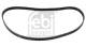 Registerrem - FE19366 FEBI BILSTEIN - 054109119E, 054109119H, 54109119E