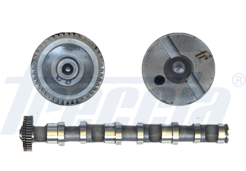 CM05-2188, Kamaksel, Vačka 2,5TDI V6, FRECCIA, 059109009BJ, 059109022AG, 059109022BR, 50006345, CAM937, HV0305
