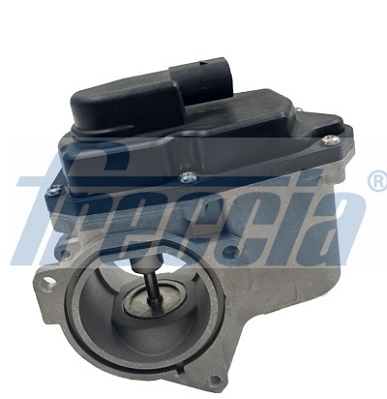 EGR12-123, EGR-ventil, Ventil AGR/EGR, FRECCIA, 03G131501, 03G131501P, 03L131501D, 03L131501E, 03L131501G, 03L131501K, 3G131501, 3L131501E, 3L131501D, 3L131501G, 3L131501K, 150-00-0901, 1500901, 43978, 555107, 571822112042, 710940R, 83.652, 88087, EGR-0901, OEV010067