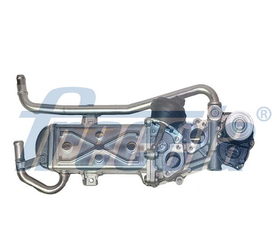 EGR12-127, EGR-ventil, Ventil AGR/EGR, FRECCIA, 03L131512AN, 03L131512AS, 03L131512BH, 03L131512CE, 03L131512CG, 03L131512DP, 03L131512M, 150-00-0909, 1500909, 49839, 555428, 571822112069, 710862R, 83.1011, 88271, EGR-0909, OEV010073