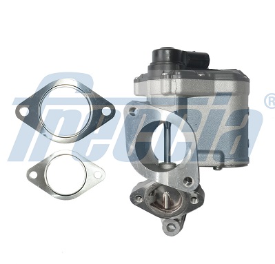 EGR12-196, EGR-ventil, Ventil AGR/EGR, FRECCIA, 1811167JG5, 8200850755, 147106672R, 1811167JG5LCP, 1811167JG4000, H8200194323, SIDAT