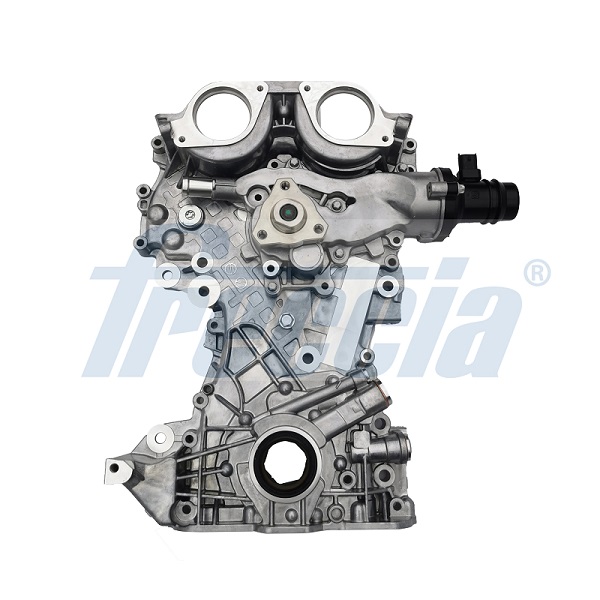 OP09-275, Oljepumpe, Pumpa olej., FRECCIA, 0638127, 0638127S1, 0638130, 0638130S1, 0638213, 0638213S1, 0646095, 0646095S1, 25197591, 25197591S1, 25199425, 25199425S1, 25199823, 25199823S1, 25200054, 25200054S1, 55564695, 55564695S1, 55574770, 55574770S1, 638127S1, 638130S1, 638146S1, 638213S1, 646095S1, 176321