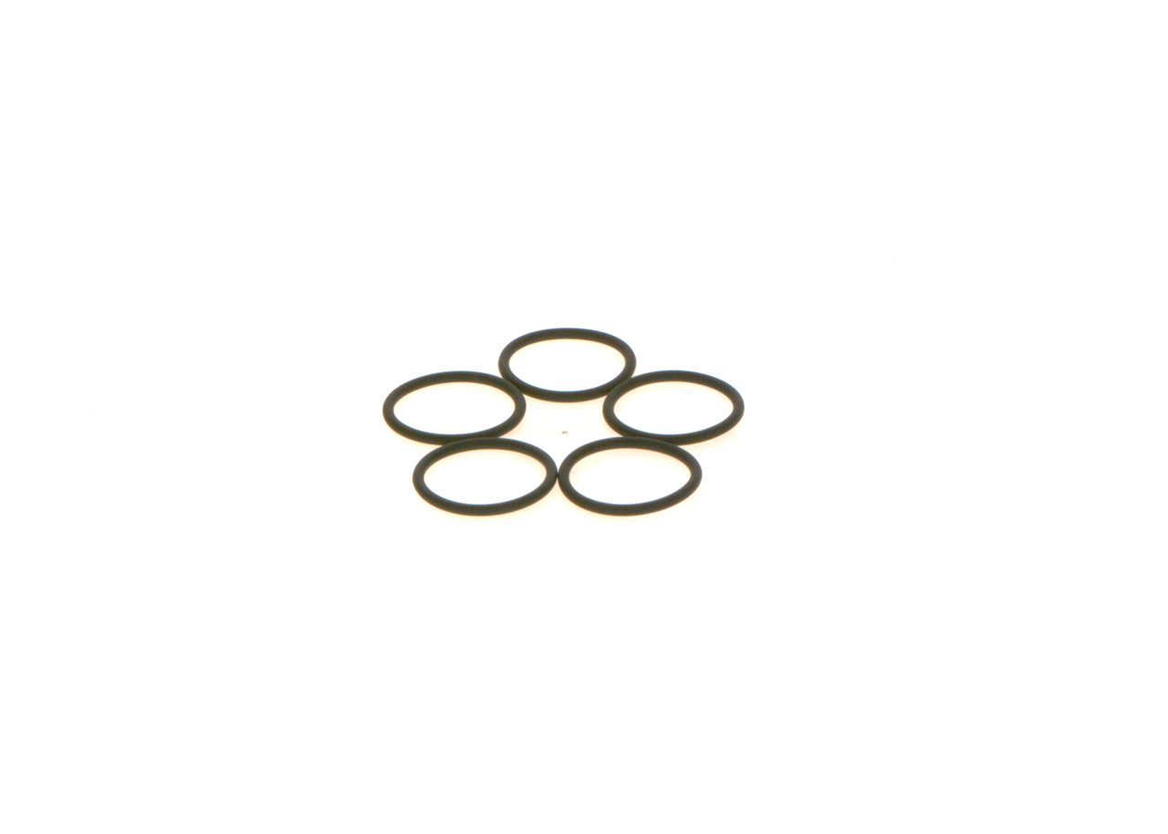 Gummiring - 1410210039 BOSCH - 01308868, 42485091, 5001000891